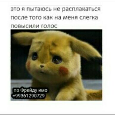 и Ь71КПЬ не и н імыи пшли ОЧО м1мм19лэиа папп гилд гп ос