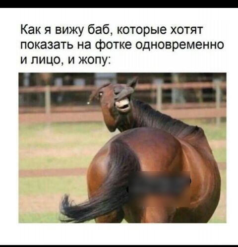 Как я вижу баб которые хотят показать на фотке одновременно и лицо и жопу