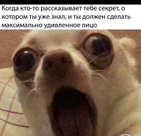 Когда кто то рассказывает тебе секрет котором ты уже знал и ты должен сделать максимально удивленное лицо
