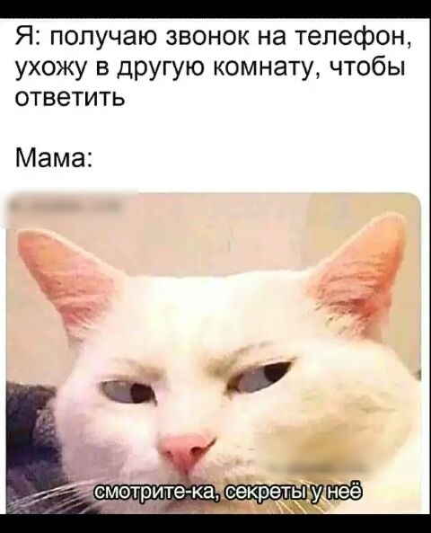 Я получаю звонок на телефон ухожу в другую комнату чтобы ответить Мама