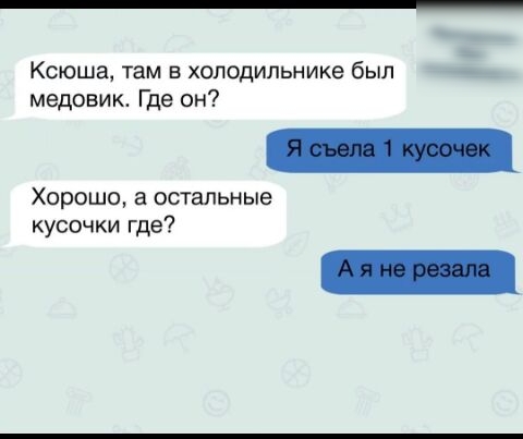 Ксюша там в холодильнике был медовик Где он Хорошо а остальные кусочки где