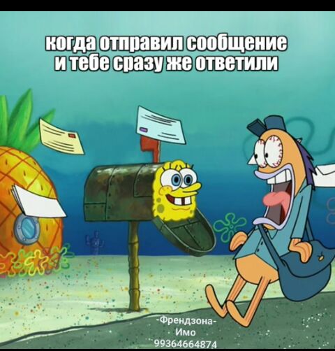 ТЕЛЕ НИЖНИЕ ШЕП