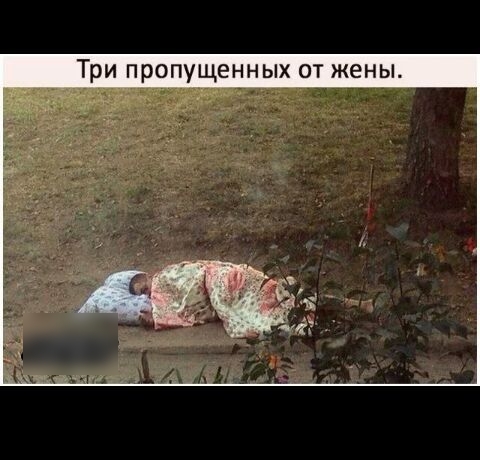 Три пропущенных от жены