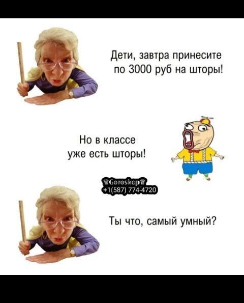 _ Дети завтра принесите по 3000 руб на шторы Ъ 5 Но в классе уже есть шторы Ты что самый умный