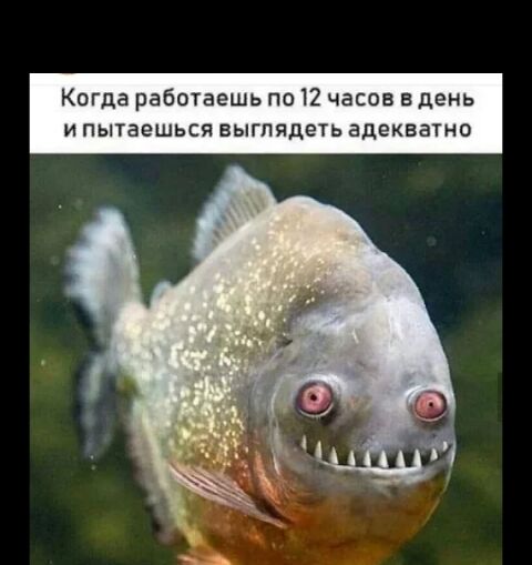Когда работаешь по 12 часов в день и пытаешься выгпядеть адекватно