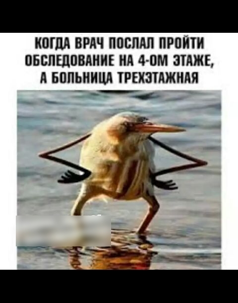 КОГЛЛ ВРАЧ ПОВЛАП ПРОИТИ ОБСЛЕДОВАНИЕ НА 4 ОМ ЩАЖЕ А БОЛЬНИЦА ТРЕХЗТАЖИАЯ _