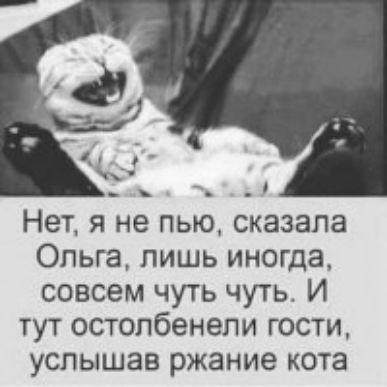 Нет я не пью сказала Ольга лишь иногда совсем чуть чуть И тут остолбенели гости услышав ржание кота