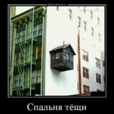 Спшшпя тёщи
