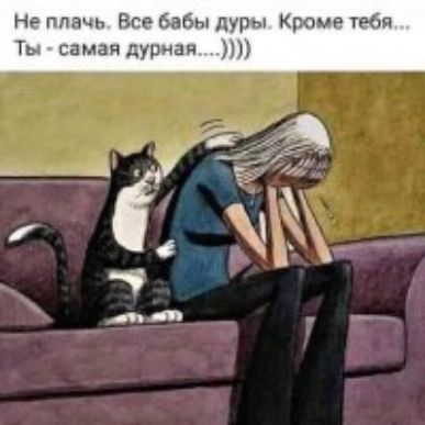Не плачь Все бабы лупы Кроме тебя Ты самая дуридя