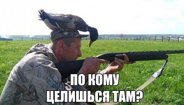 помёт цшИшьс__н___тдмэ