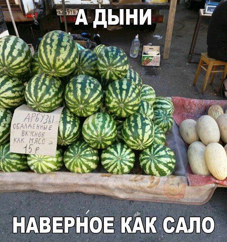 гА дыни Ё _ НАВЕРЁОЕКАКСАЛО