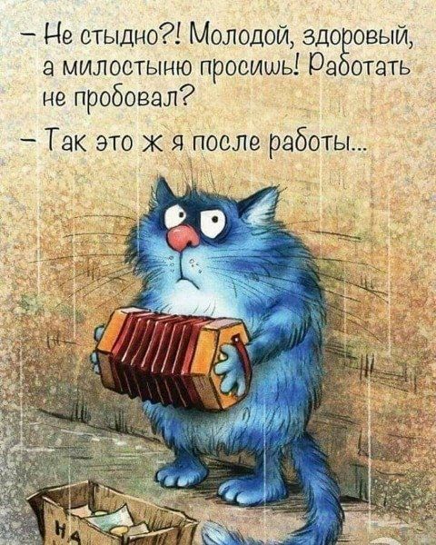 Не стыдно Молодой здо овый а милостыню просишь рд отать не пробовал Так это ж я после работы