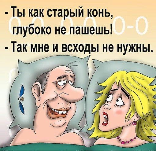 Ты как старый конь глубоко не пашешь Так мне и всходы не нужны