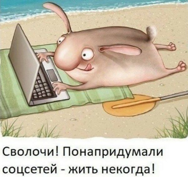 Сволочи Понапридумали соцсетей жить некогда
