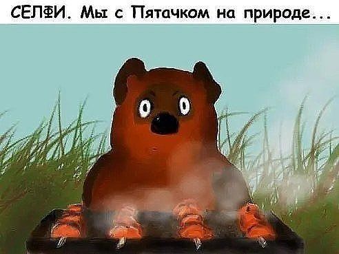 СЕПФИ Мы с Пятачком на природе
