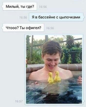 Милый ты где я в бассейне с цыпочками Чтооо Ты офигел