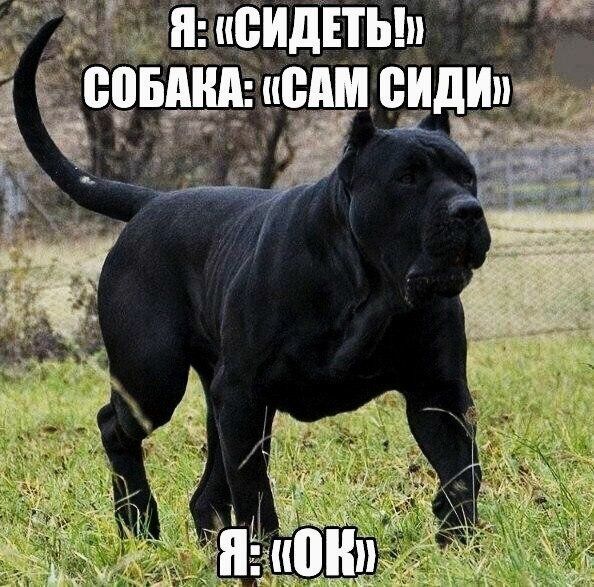 ВИДЕТЬ ЁЁЩ ФИМ ЁИдИп