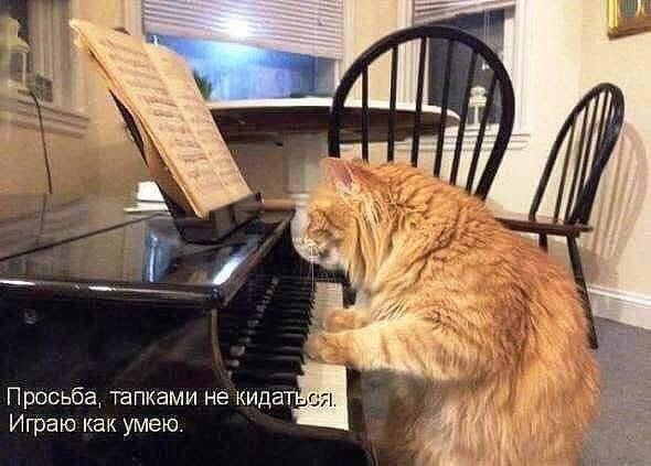Просьба тапками не кида Играю как умею