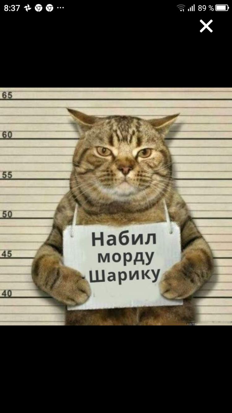 837 и а 89 Х