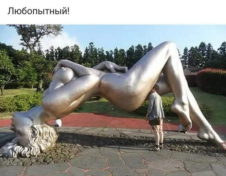 Любопытный