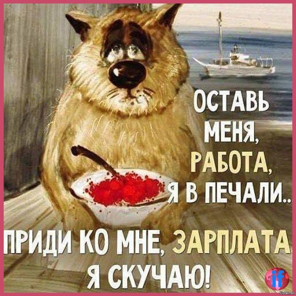 осмвь мвняч