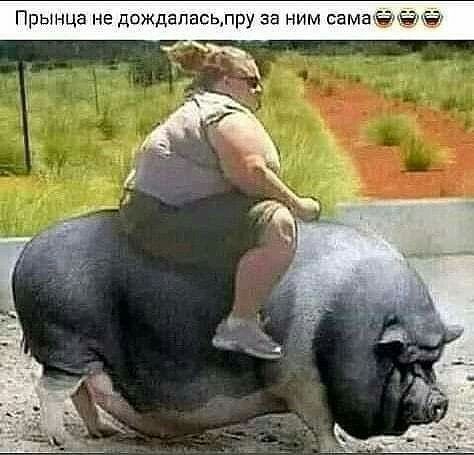 Прынца не дождаласьлру за ним