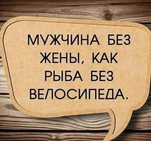 МУЖЧИНА БЕЗ ЖЕНЫ КАК РЫБА БЕЗ ВЕЛОСИПЕДА