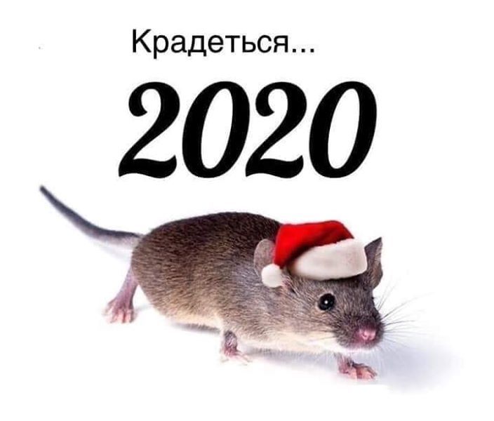 Крадеться 2020