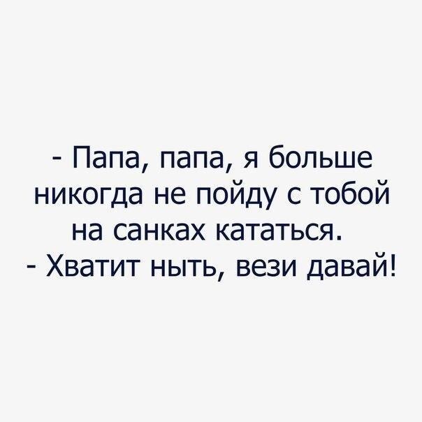 Папа папа я больше никогда не пойду с тобой на санках кататься Хватит ныть вези давай