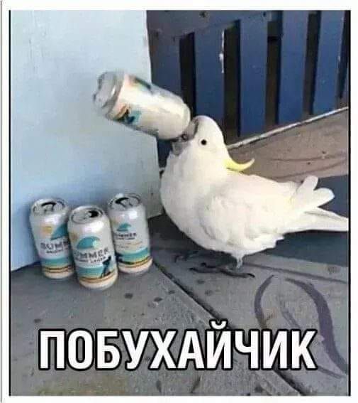 аз ПОБУХАЙЧИК