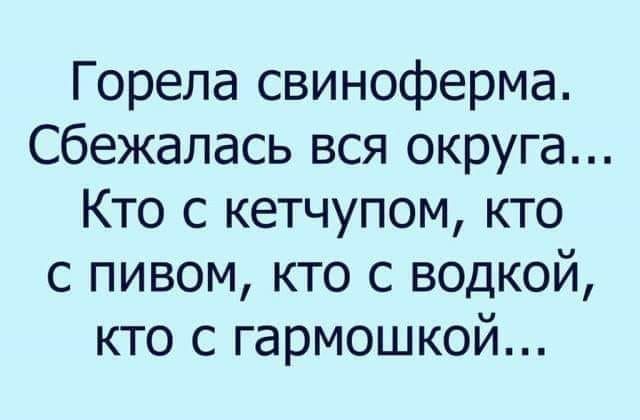 Горела свиноферма Сбежалась вся округа Кто с кетчупом кто с пивом кто с водкой кто с гармошкой