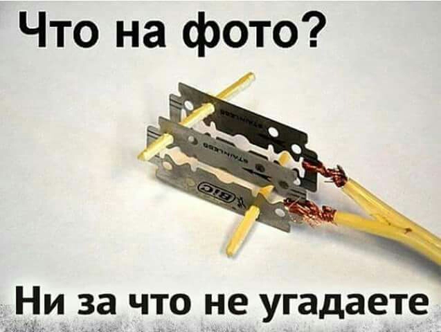 Что на фото Ци за что не угадаете