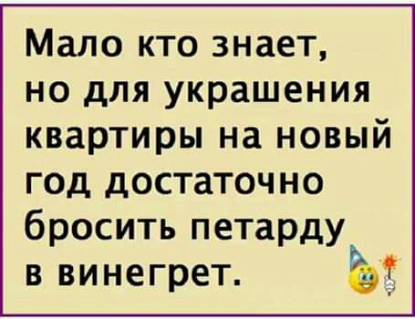 Мало кто знает но для украшения квартиры на новый год достаточно бросить петарду в винегрет Ъ