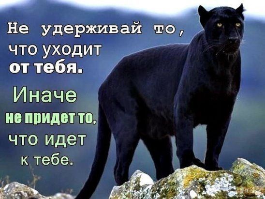 Не удерживай то что уходит от тебя Иначе не ппидвт что идет 1 к тебе
