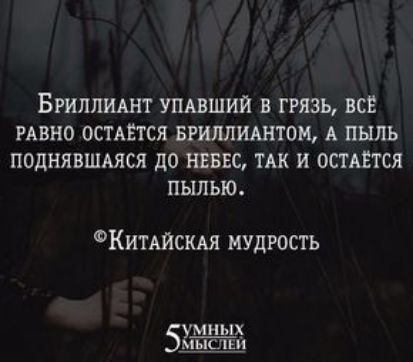 БРИЛЛИАНТ УПАВШИЙ В ГРЯЗЬ ВСЁ РАВНО ОСТАЁТСЯ БРИЛЛИАНТОМ А ПЫЛЬ ПОДНЯВШАЯСЛ ДО НЕБЕС ТАК И ОСТАЕТСЯ ПЫПЫО ФКИТАЙСКАЯ МУДРОСТЬ умных ш