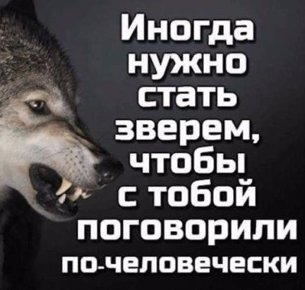 Иногда нужно стать зверем _ чтобы тобой поговорили ПП ЧЕЛПВЕЧЕСКИ
