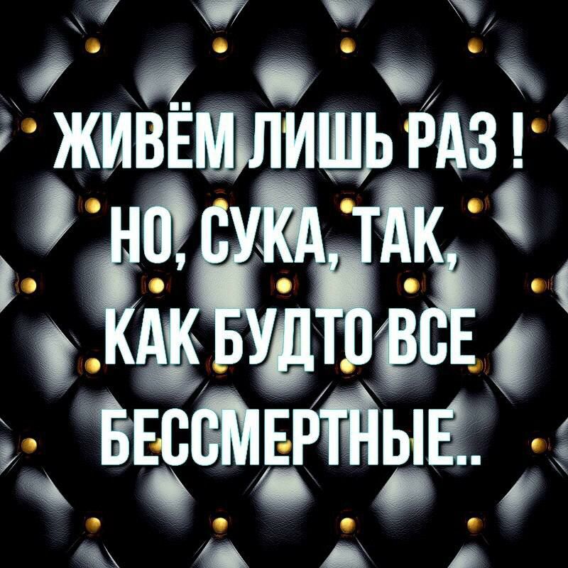 живвмишь РАЗ М А А