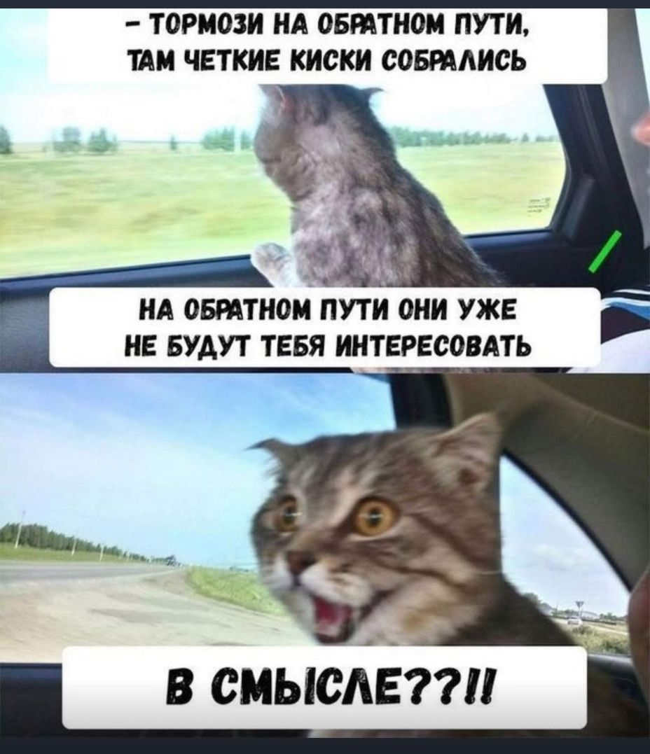 ТОРМОЗИ НА ОБЫТНОМ ПУТИ ТАМ ЧЕТКИЕ киски СОБРААИСЬ НА ОБРАТНОМ ПУТИ ОНИ УЖЕ НЕ БУДУТ ТЕБЯ ИНТЕРЕСОВАТЬ в сиысАп іпи