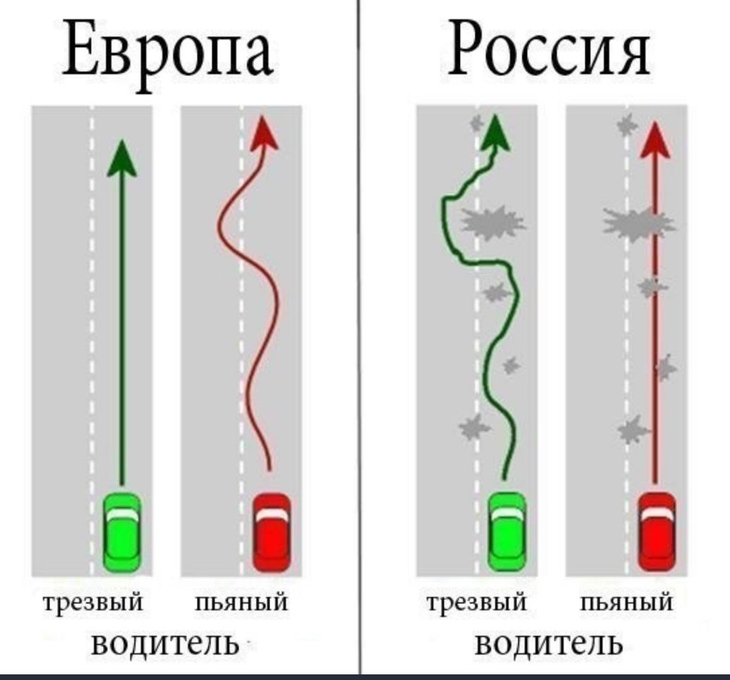 трезвый пьяный вый пьяный ВОДИТСЛЬ ВОДИТСЛЬ