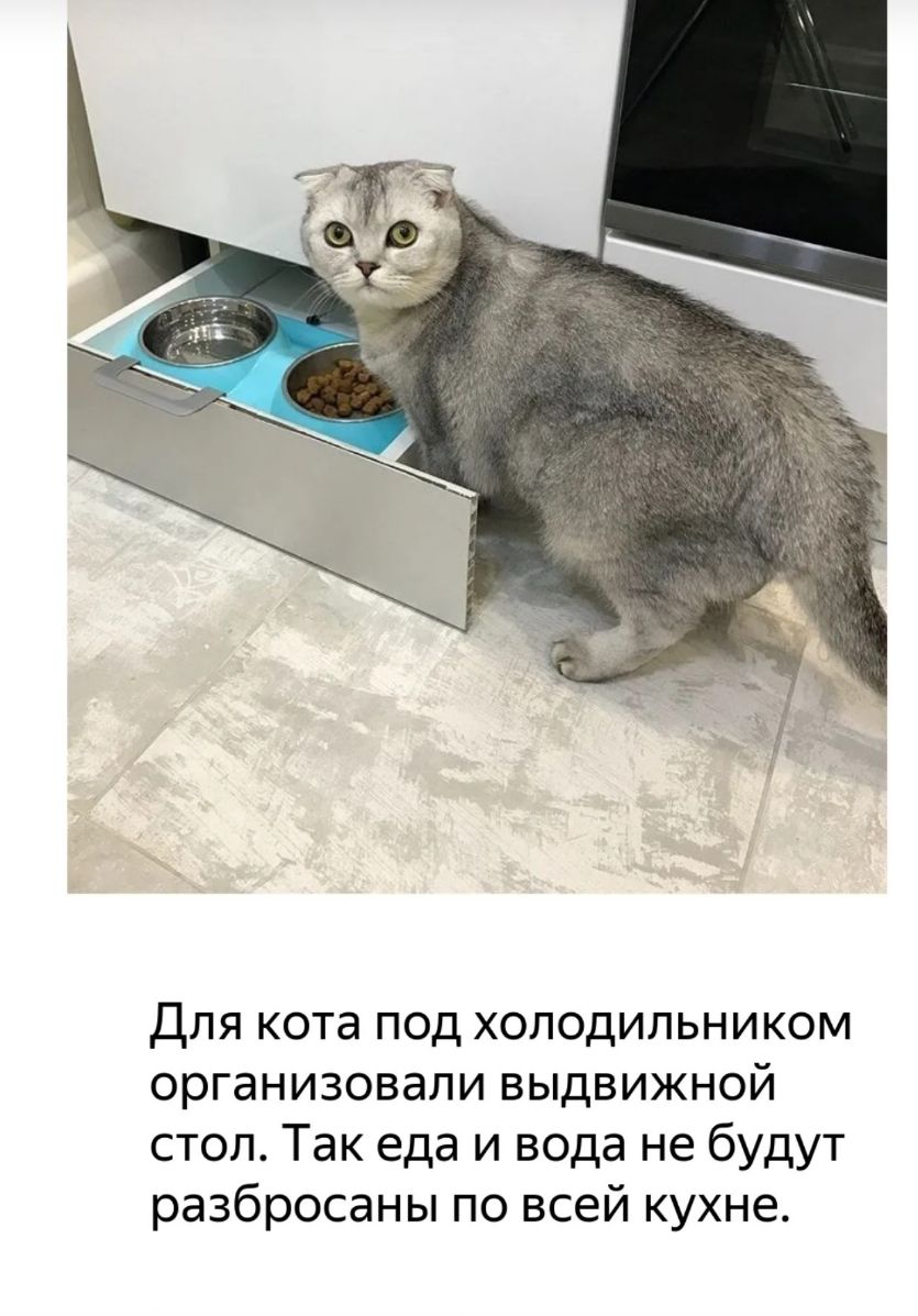 Место для кота на кухне