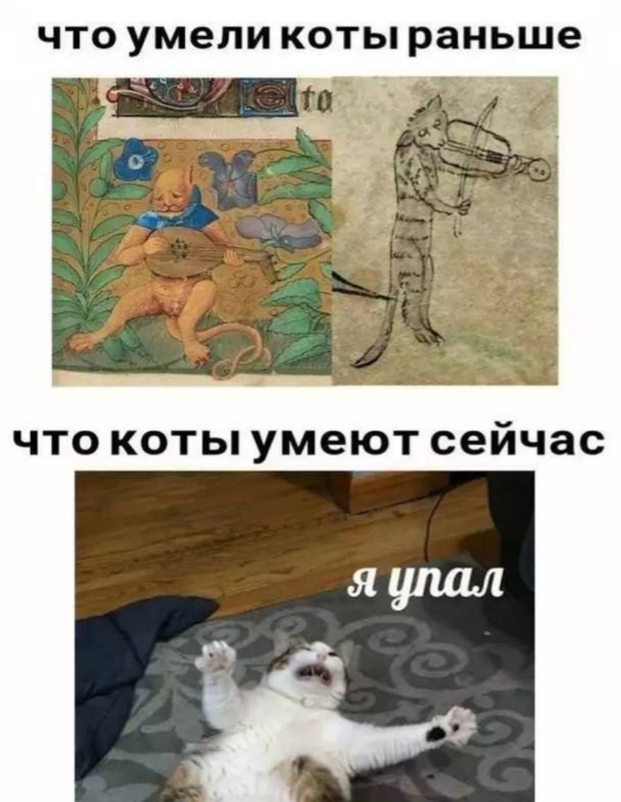 что умели коты раньше ы
