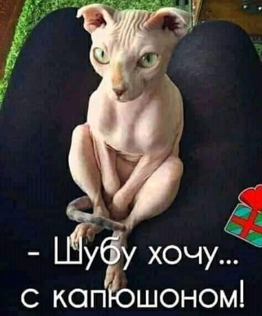 уф хочу с копЁошоном