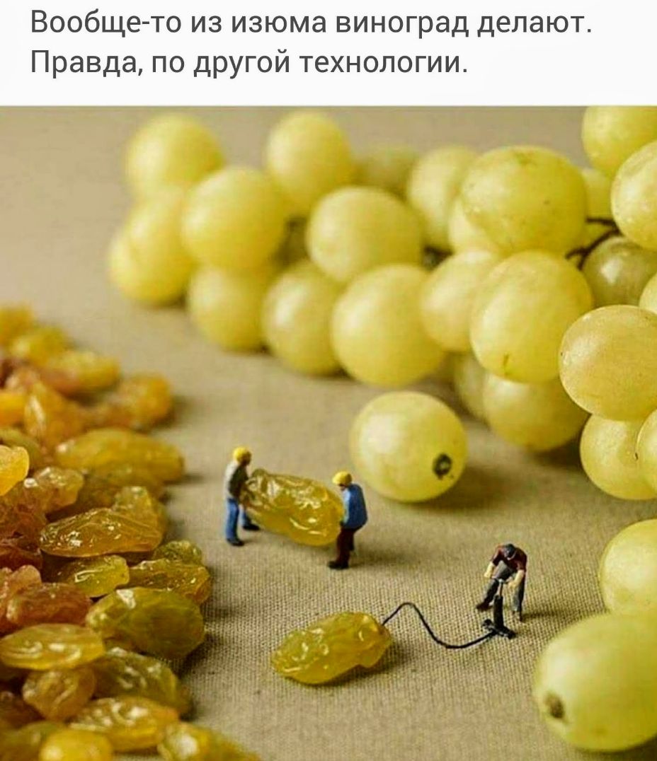 Вообще то из изюма виноград делают Правда по другой технологии 1 д 1 6