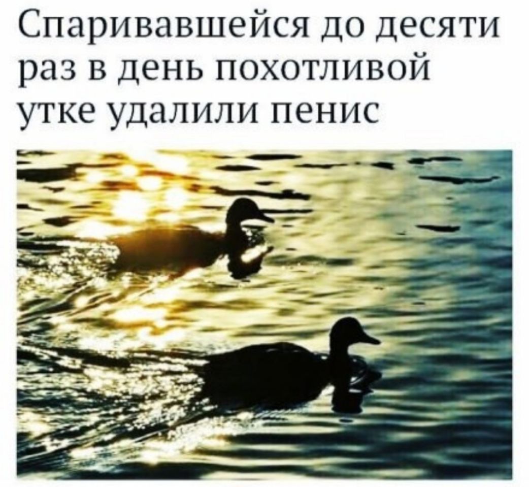Спаривавшейся до десяти раз в день похотливой УТКЭ УДЗЛИЛИ ПЭНИС