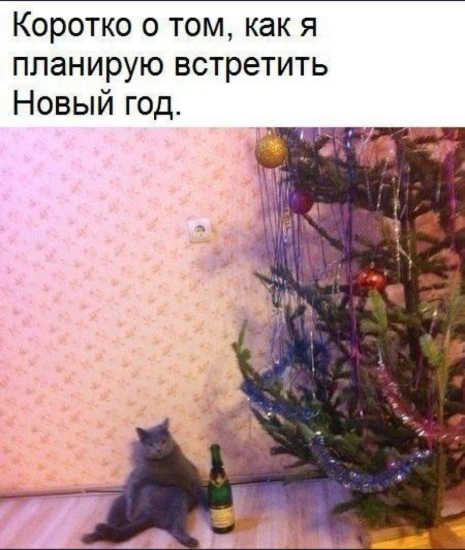Коротко о том как я планирую встретить Новый год