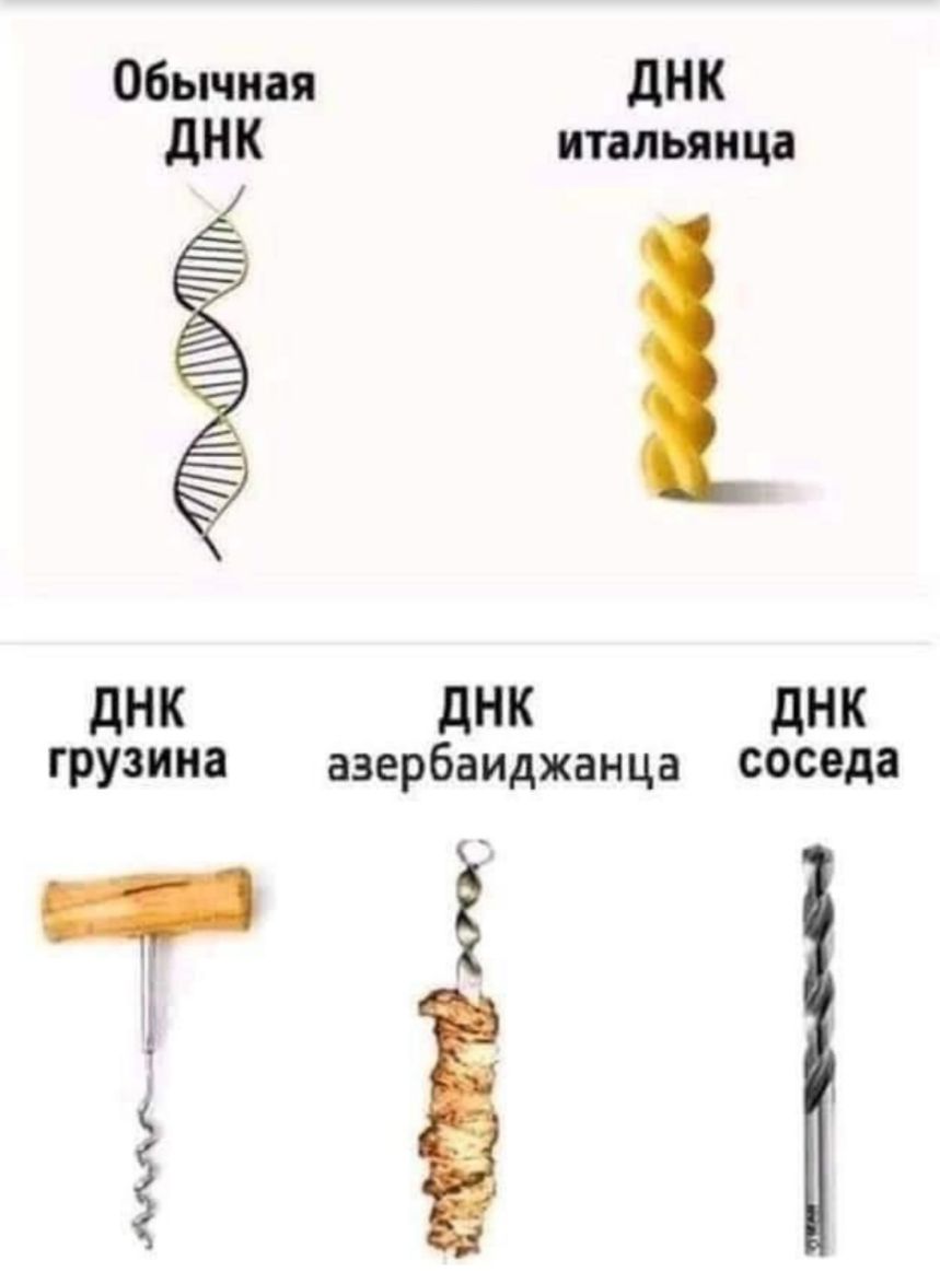 Обычная дНК дНК итальянца дНК дНК дНК грузина азербаиджанца соседа т ё