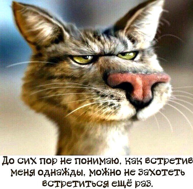 До сих пор не поиМаю как встретив мена однэЖды МОЖНО Не захотеть встретиться ещё раз