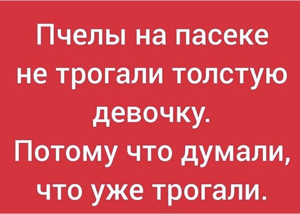 Пчелы на пасеке не трогали толстую девочку Потому что думали что уже трогали