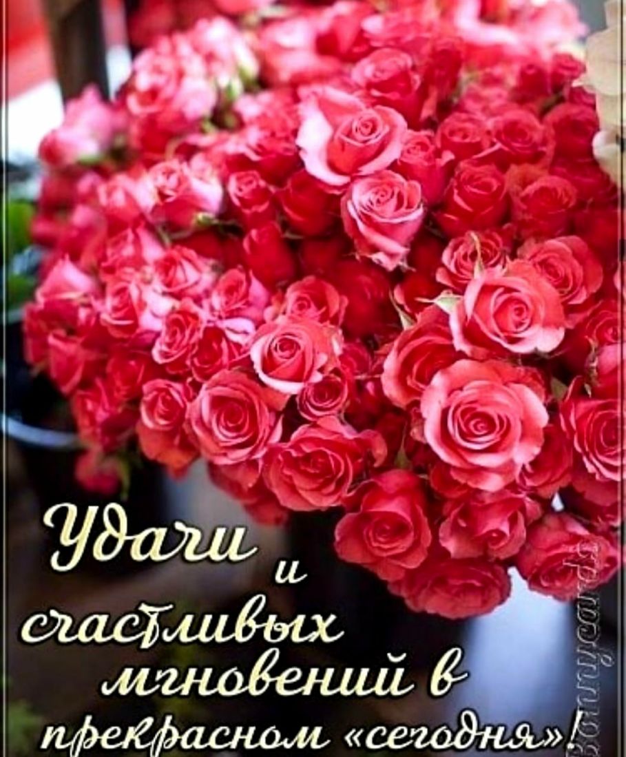 4 _ь _ _ Зттутгоіі
