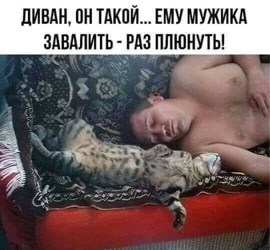 ЦИВАН ПН ТАКОЙ ЕМУ МУЖИКА ЗАВАЛИТЬ Р ПЛЮНУТЬ